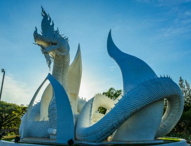 Amazing  architecture  structure of the dragon